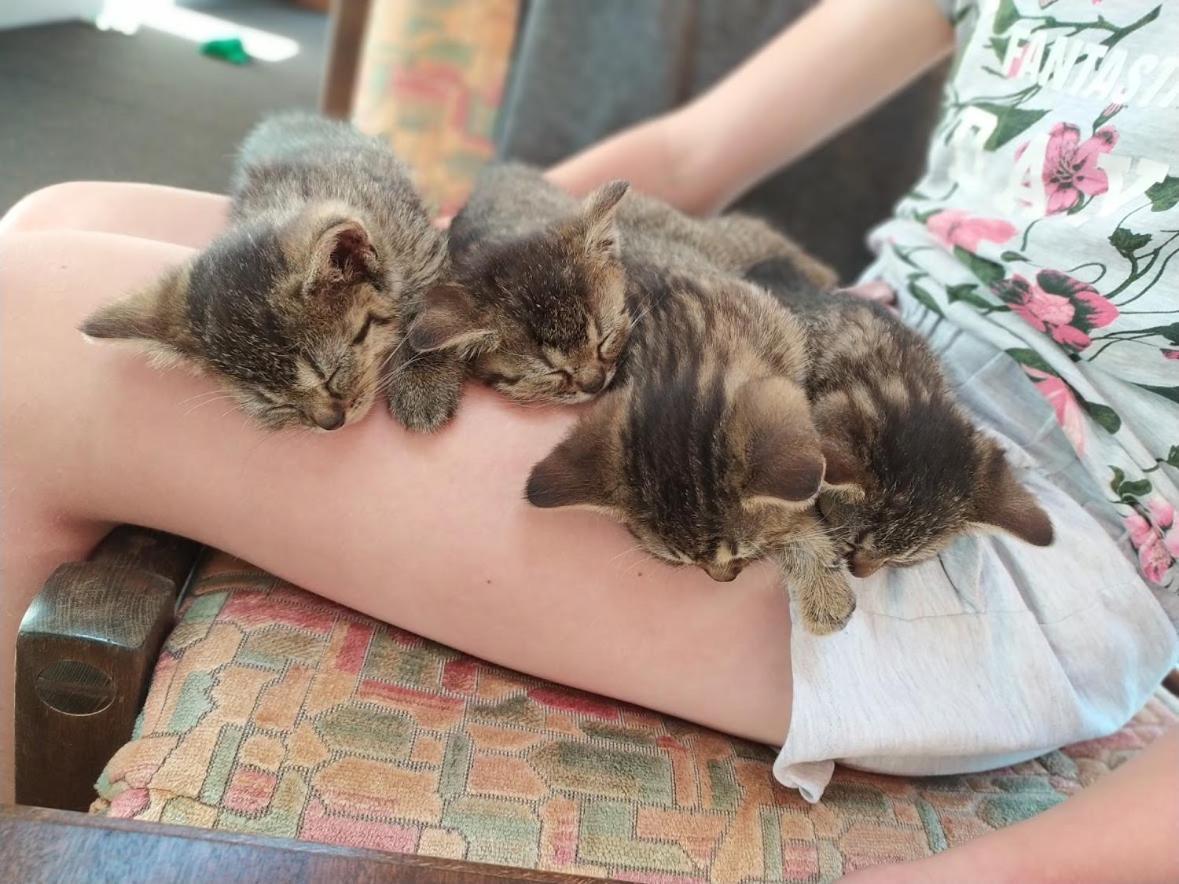 Na Losenici Nicov  Dış mekan fotoğraf